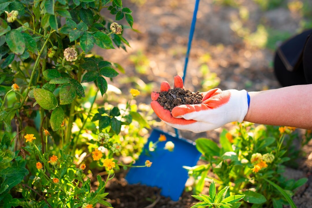 gardener using compost