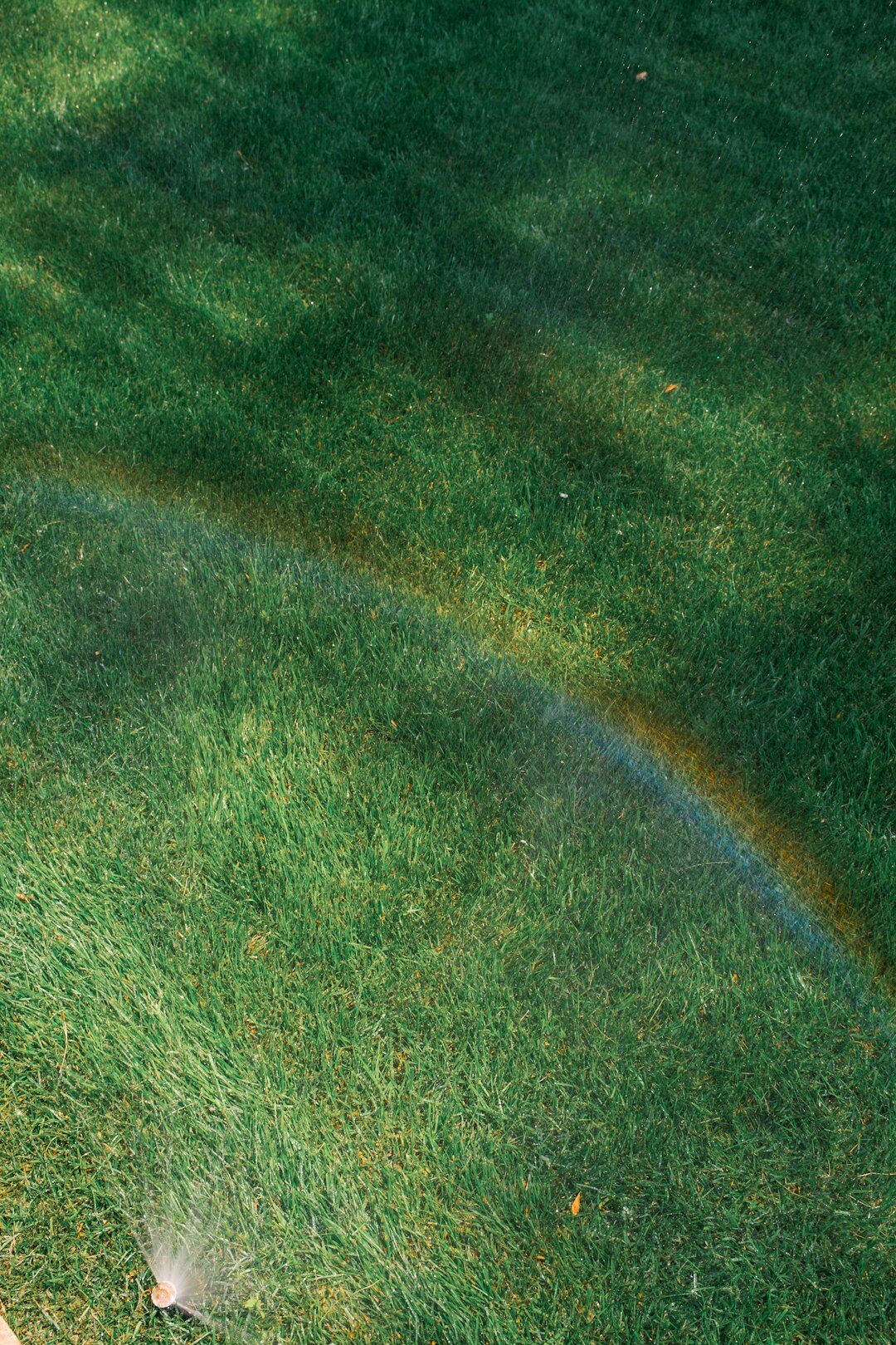 watering lawn in fall
