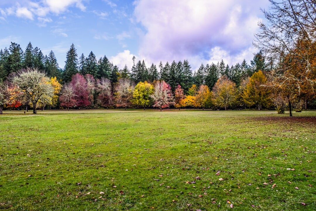 autumn lawn raking