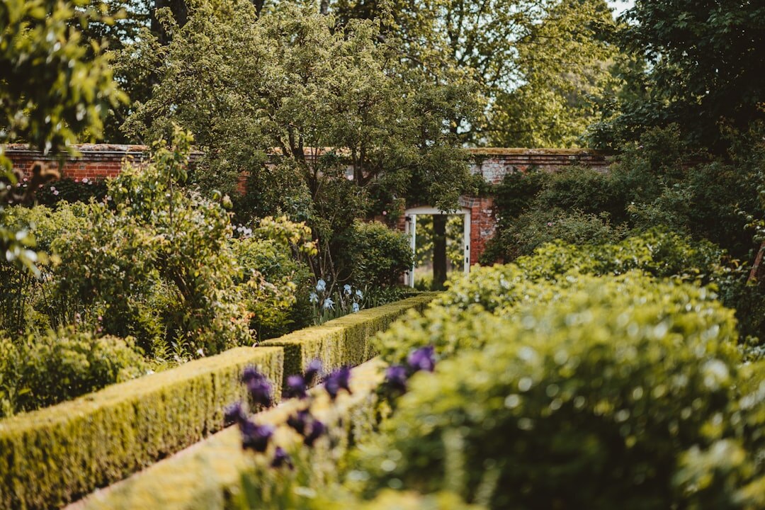 Czech country garden with raised vegetable beds and a greenhouse in the morning light
