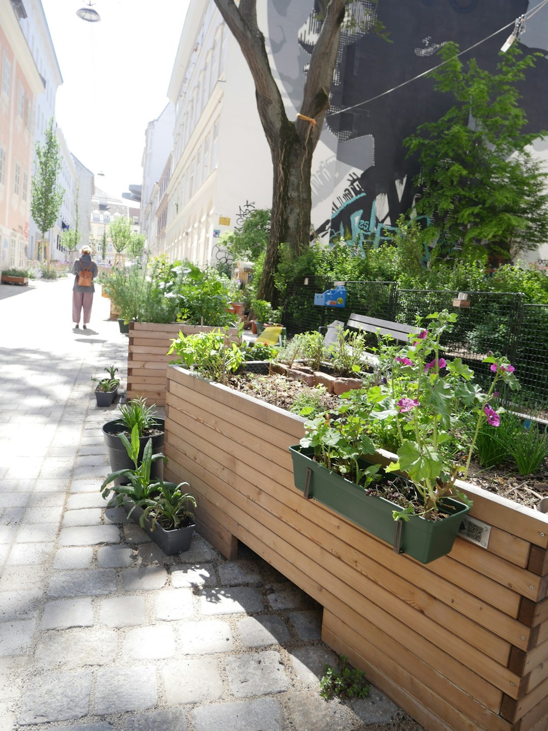 balcony with potted herbs
