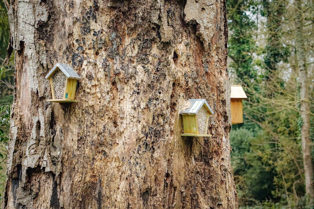 insect hotel in garden