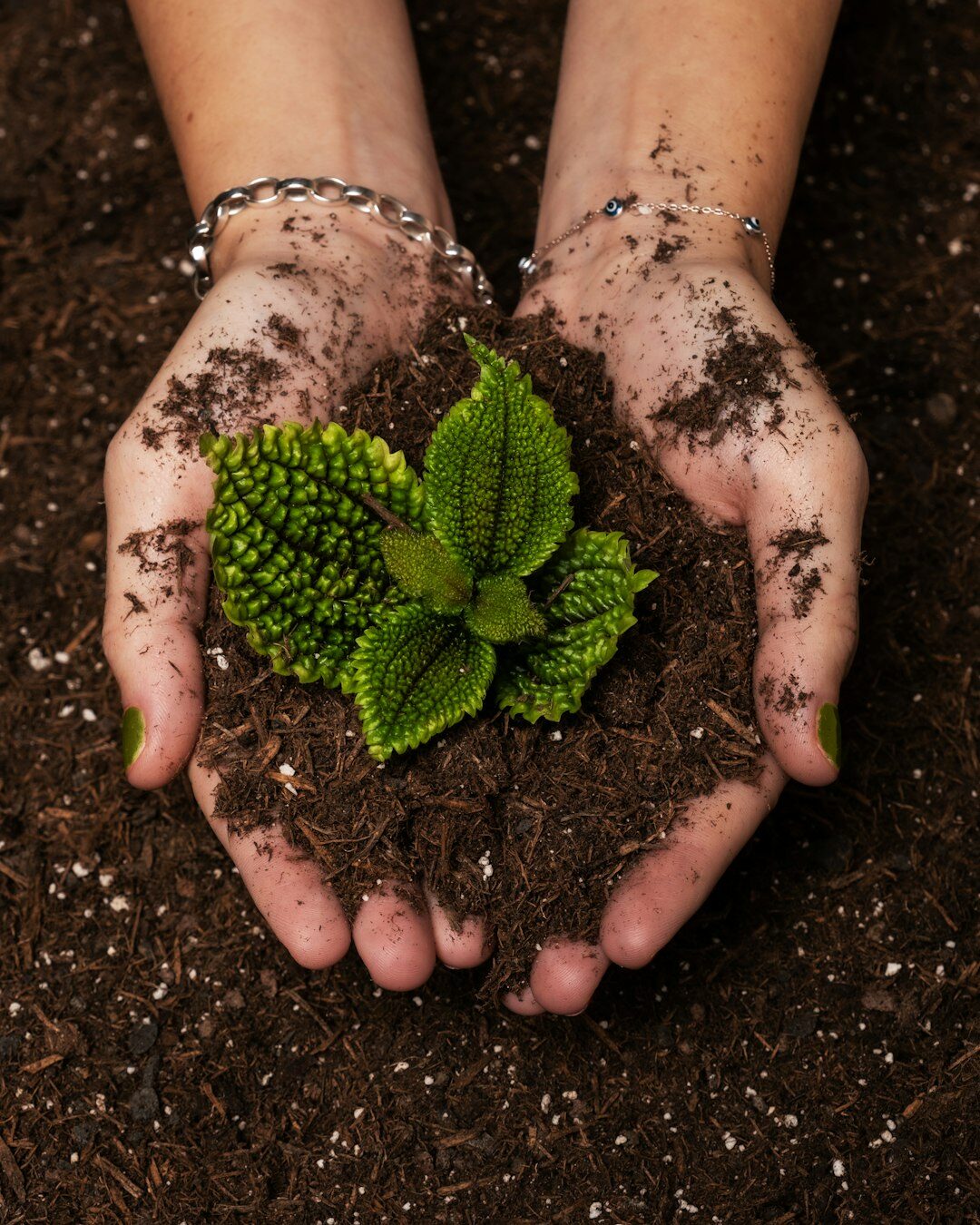 garden soil preparation